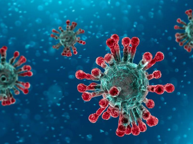 CALABRIA coronavirus, 21 agosto, 1.379 positivi (+2 rispetto a ieri), i negativi 138.973