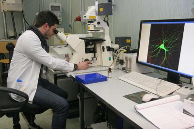 Coronavirus, ricercatori spagnoli testano farmaco su reni artificiali