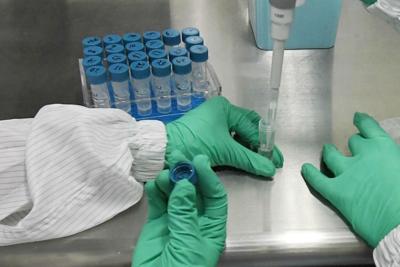 Coronavirus, scienziato Gb: "Test vaccino su cavie dà risultati incoraggianti"